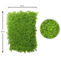 Faux Greenery Wall