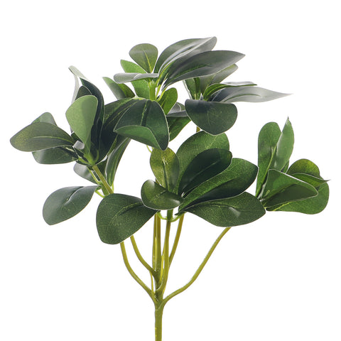Artificial Arboricola Evergreen Leaf(without vase)