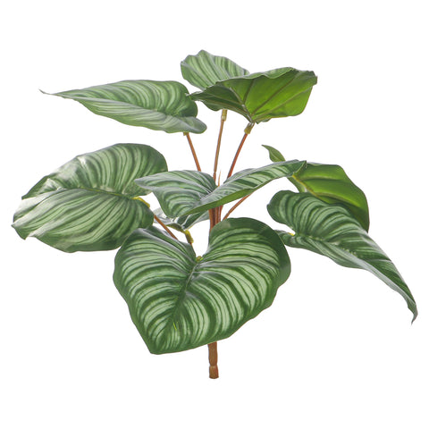 Artificial Calathea Orbifolia Bunch Leaves