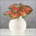 Lifelike caladium plant leaves