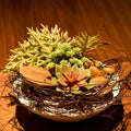 Decorative dried rattan sticks