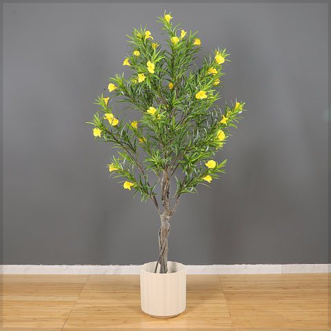 Cascabela Thevetia  Plant  (with black nursery pot)
