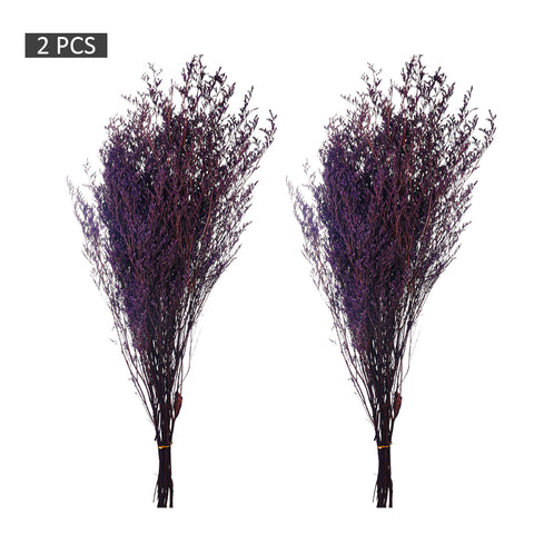2 Bunches Dried Caspia Flowers