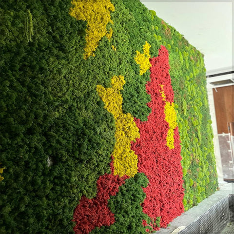 Lush Green  Wall Art with Colorful Accents for display purposes only (non-sale)