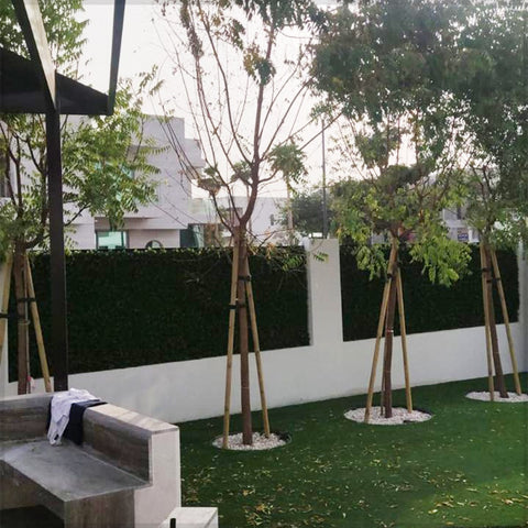 Faux Green Wall Signage