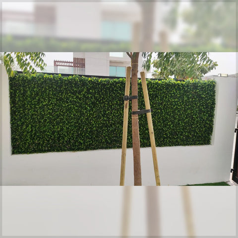 Lush Green Privacy Wall for display purposes only (non-sale)