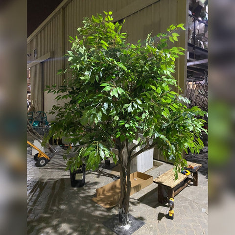 Lush Greenery in Full Bloom for display purposes only (non-sale)
