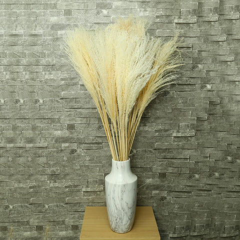 Dried Pampas Grass for Vases