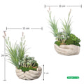 Table succulent arrangement