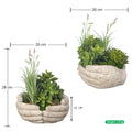 Indoor succulent decor