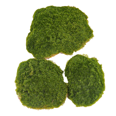 Artificial Decorative  Green Moss Pieces