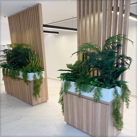 Modern Indoor Greenery Elegant Plant Arrangements for display purposes only (non-sale)