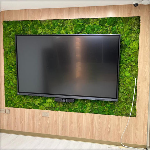 Modern Living Room with Vertical Moss Wall Display with Grass Carpet Installation for display purposes only (non-sale)