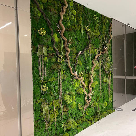 Nature's Embrace A Modern Green Wall Oasis for display purposes only (non-sale)