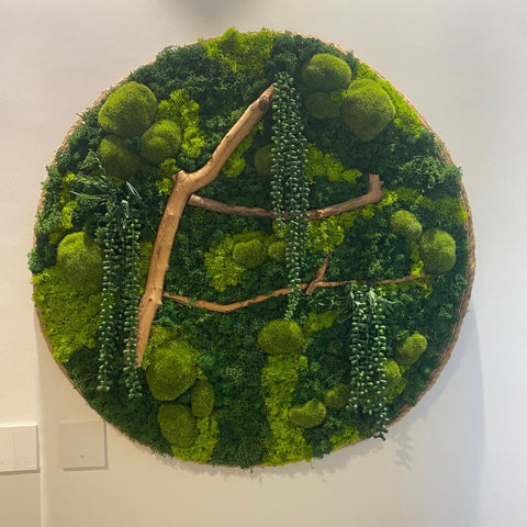 Nature's Embrace Circular Moss and Plant Wall Art for display purposes only (non-sale)