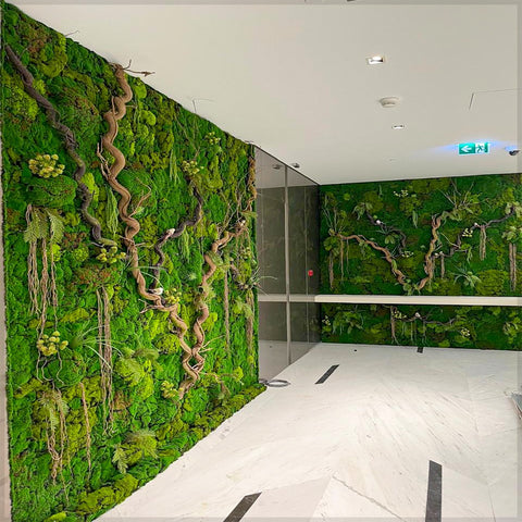 Real Fresh Moss Wall