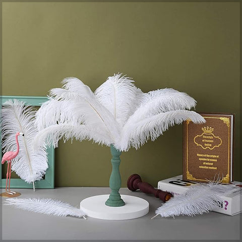 white feather for crafts
