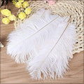 elegant craft feather