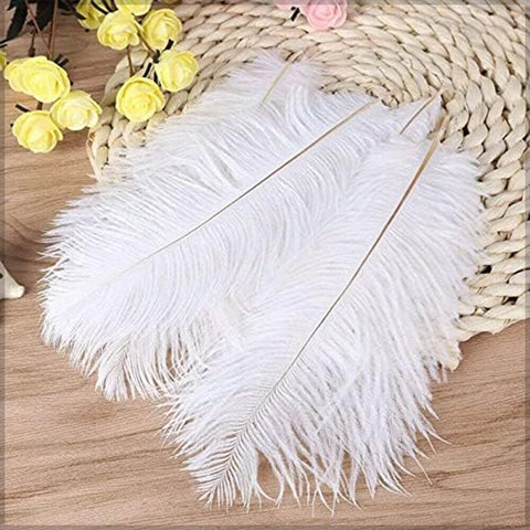 elegant craft feather
