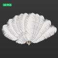 large white feather
