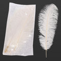 premium white feather