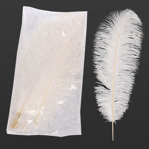 premium white feather