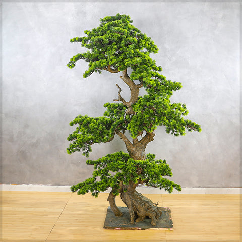Artificial Pine Bonsai Plant 185cm Tall