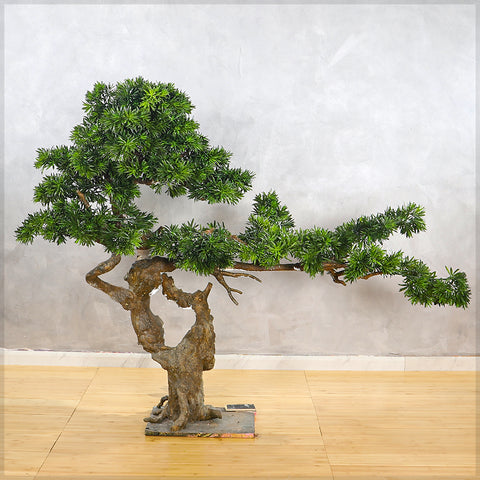 Artificial Podocarpus Bonsai Plant 130cm Tall