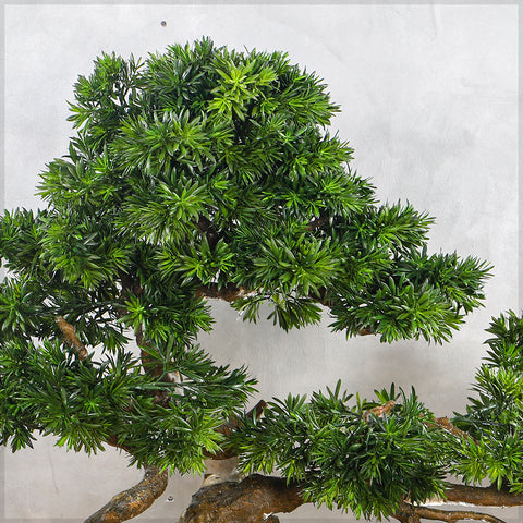 Artificial Podocarpus Bonsai Plant 130cm Tall