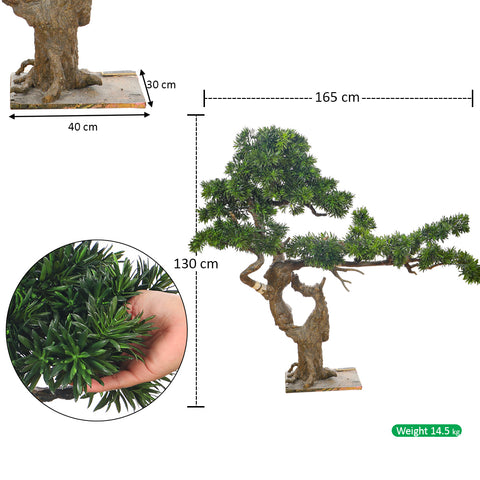 Artificial Podocarpus Bonsai Plant 130cm Tall