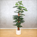 decorative monstera plant