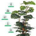 monstera home décor