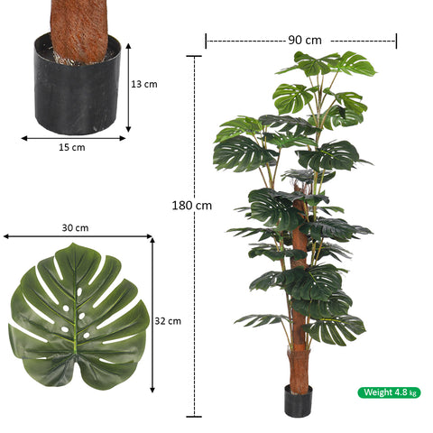 monstera for living room