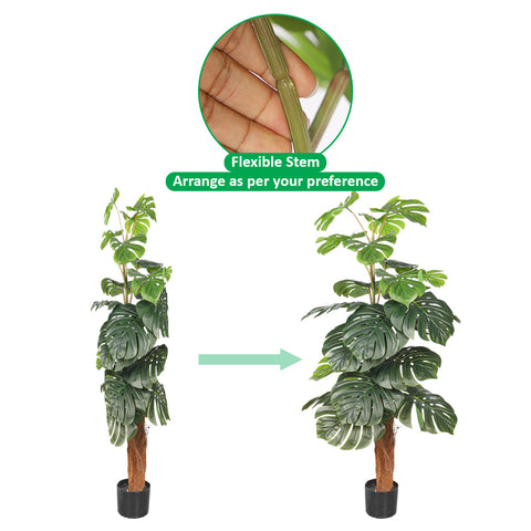 plastic tropical plant