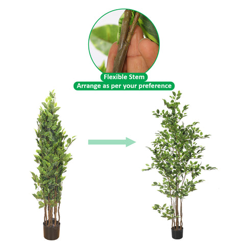 W-Green Artificial Ficus Plant 220cm Tall in Black Pot (Cream Plastic Pot not Included)