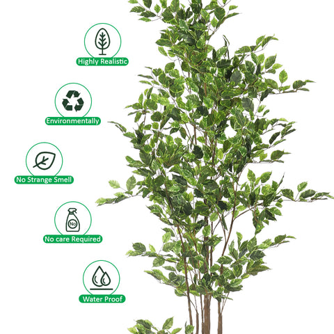 W-Green Artificial Ficus Plant 220cm Tall in Black Pot (Cream Plastic Pot not Included)