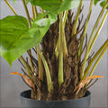 Indoor Fake Monstera Plant
