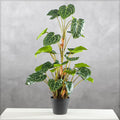 Faux caladium plant