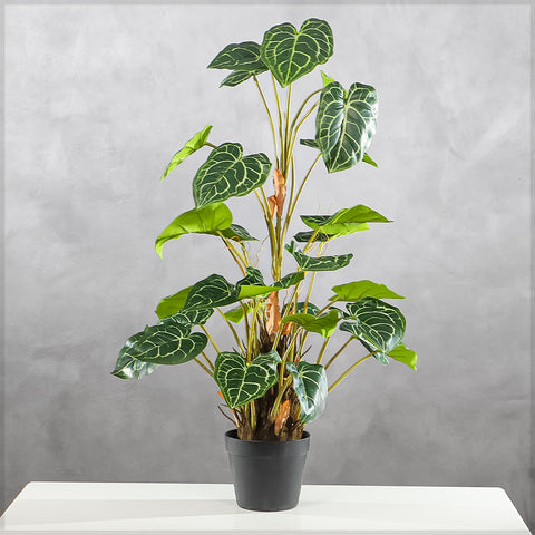 Faux caladium plant
