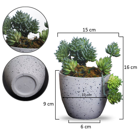 Realistic artificial succulents in pots