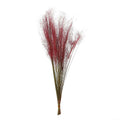 Natural dried grass bunch for décor