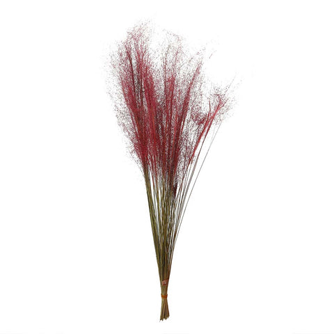 Natural dried grass bunch for décor