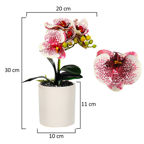 Orchid flower decor