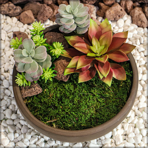 preserved moss sheet