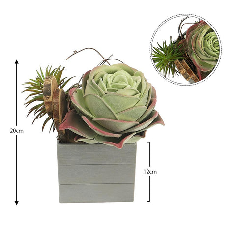 Artificial Succulent for Office