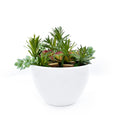 Artificial Succulent with Wooden Base