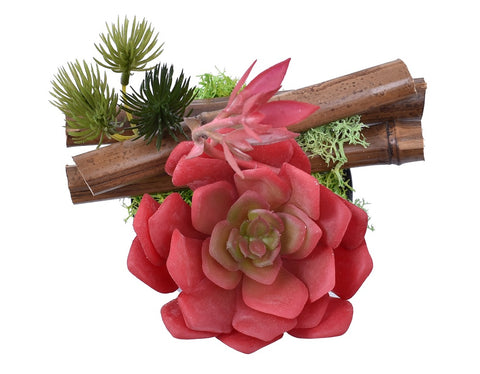 Red Succulent with Bamboo Sticks