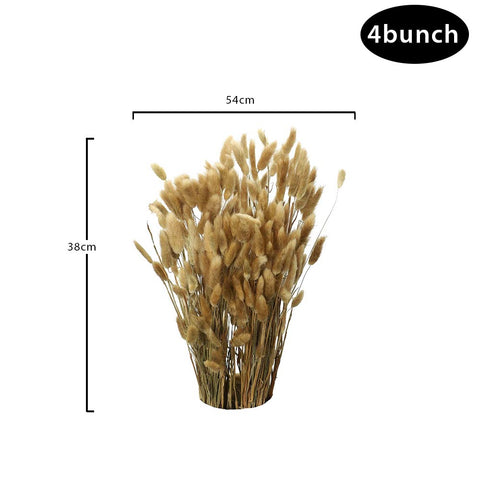 Dried Pampas Grass & Bunny Tail Flowers