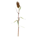sorghum decor