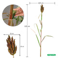 rustic plant decor